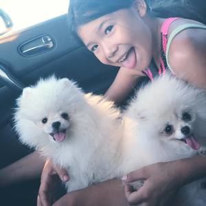 Meet your Posher, Pricysolorio